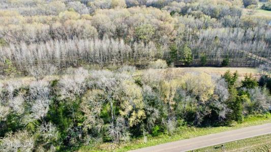 1263 N Ratliff Road Lot 21, Jackson, Mississippi 39209