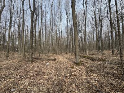Parcel A Private Rd, Mercer, Wisconsin 54547