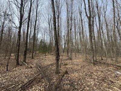 Parcel A Private Rd, Mercer, Wisconsin 54547