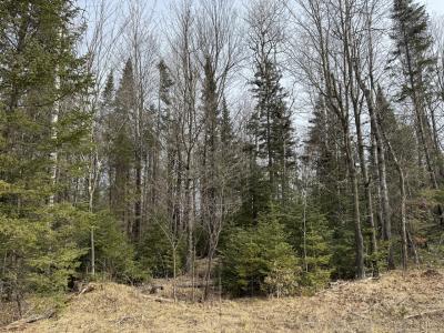 Parcel B 1.9 Ac CTH FF, Mercer, Wisconsin 54547