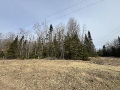 Parcel B 1.9 Ac CTH FF, Mercer, Wisconsin 54547
