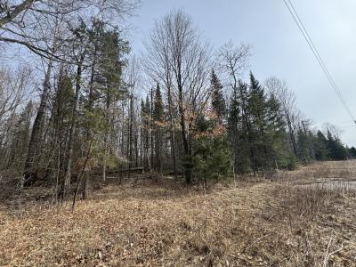Parcel B 1.9 Ac CTH FF, Mercer, Wisconsin 54547