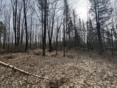 Parcel B 1.9 Ac CTH FF, Mercer, Wisconsin 54547