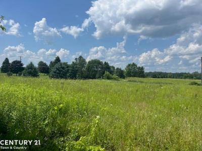 6839 Dryden, Almont, Michigan 48003, USA