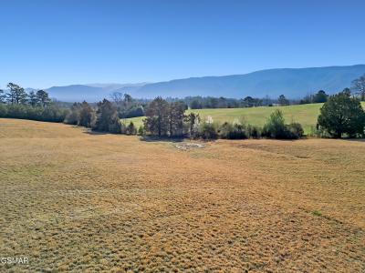 1090 Red Hill Rd Tract 2, Greeneville, Tennessee 37743