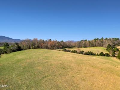 1090 Red Hill Rd Tract 2, Greeneville, Tennessee 37743