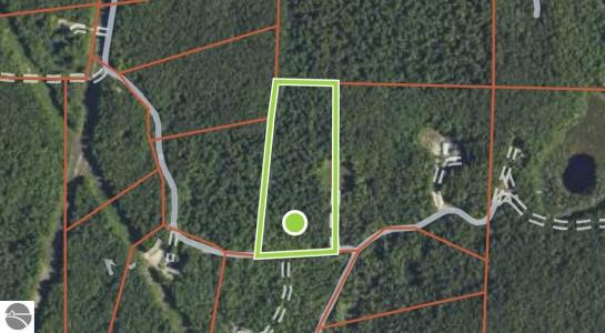 00 Valleyview, Elmira, Michigan 49730, HOA KỲ
