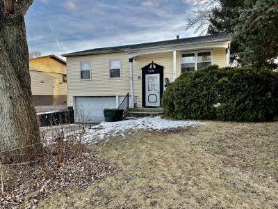 520 E Birch Drive, Glenwood, Illinois 60425, USA