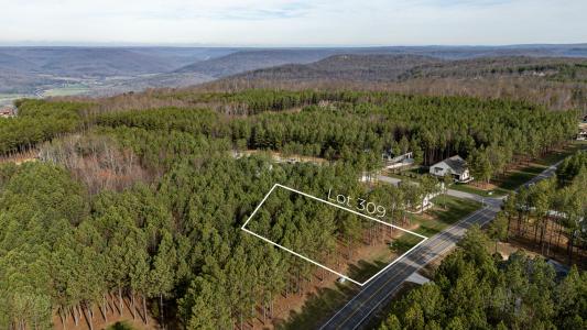 #309 Crockett Pointe, Jasper, Tennessee 37347, USA