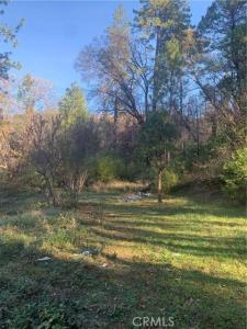 Four Trees Road, Concow, Califórnia 95965, Estados Unidos