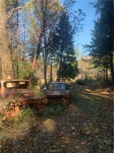 Four Trees Road, Concow, California 95965, USA