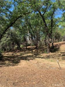 4896 Malibu Drive, Paradise, Califórnia 95969, Estados Unidos