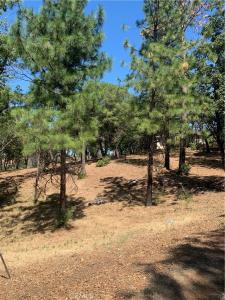 4896 Malibu Drive, Paradise, California 95969