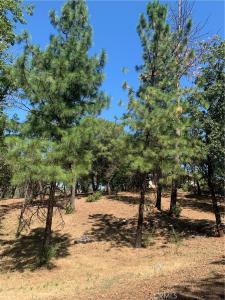 4896 Malibu Drive, Paradise, California 95969