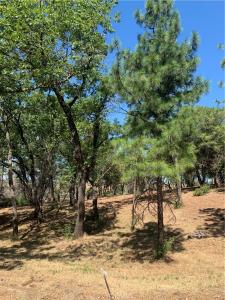 4896 Malibu Drive, Paradise, California 95969