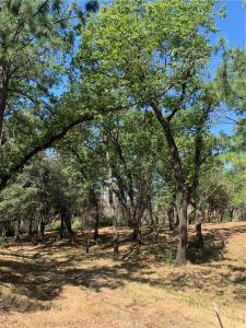 4896 Malibu Drive, Paradise, California 95969
