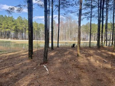 179 High Point Lane, Jasper, テネシー 37347, アメリカ合衆国