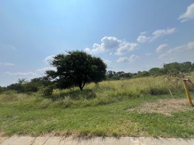 Mookgopong, Limpopo, 南非