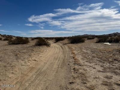 21500 E Avenue P4 APN 3082-022-013, Pearblossom, Californie 93553, États-Unis