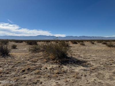 21500 E Avenue P4 APN 3082-022-013, Pearblossom, Californie 93553, États-Unis