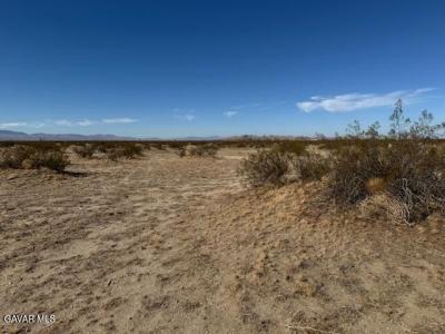 21500 E Avenue P4 APN 3082-022-013, Pearblossom, Californie 93553, États-Unis