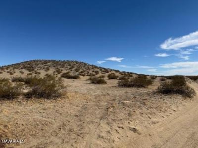 21500 E Avenue P4 APN 3082-022-013, Pearblossom, Californie 93553, États-Unis