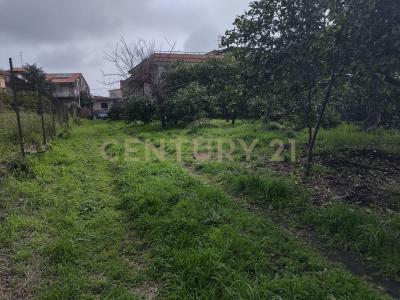 Acireale, Sicilia 95024, Italy