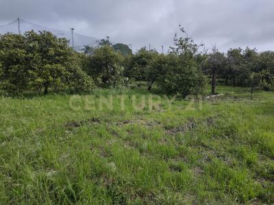 Acireale, Sicilia 95024, إيطاليا