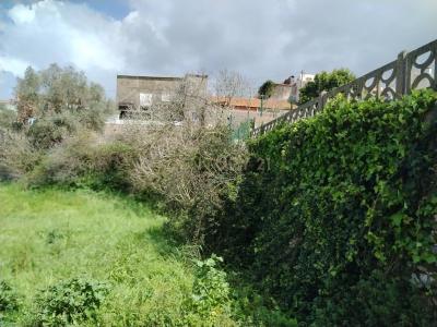 Alcobaça, Leiria 2460-000, Portugal