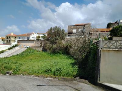 Alcobaça, Leiria 2460-000, Portugal