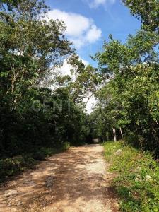 Rancho Santa Teresa SN,, Tulum, Quintana Roo 77774, Mexico