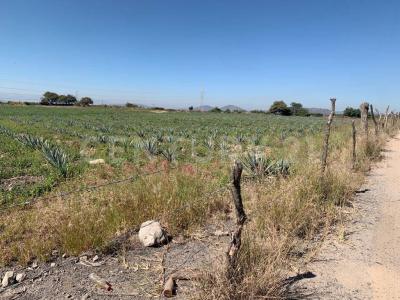 Acatlán De Juárez, 哈利斯科 45700, 墨西哥