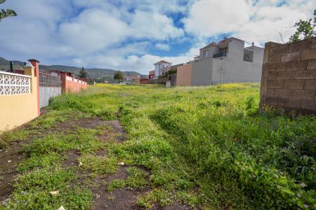 سانتا كروث دي تينيريفه, Canarias 38293, إسبانيا