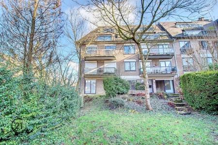 Avenue Chapelle-aux-Champs 49 1, Woluwe-saint-lambert, 1200, Bélgica