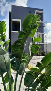 Vieja Conjunto Residencial Villa Shuang, Villa Rosa, Nueva Esparta 6301, Venzuela