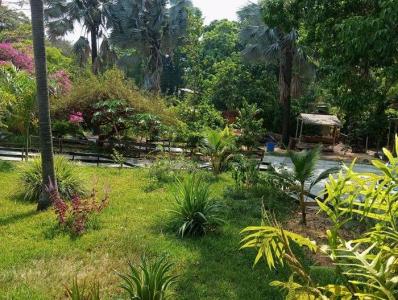 Villa De Cura, Aragua 2126, ベネズエラ