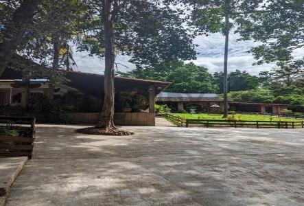 Villa De Cura, Aragua 2126, ベネズエラ