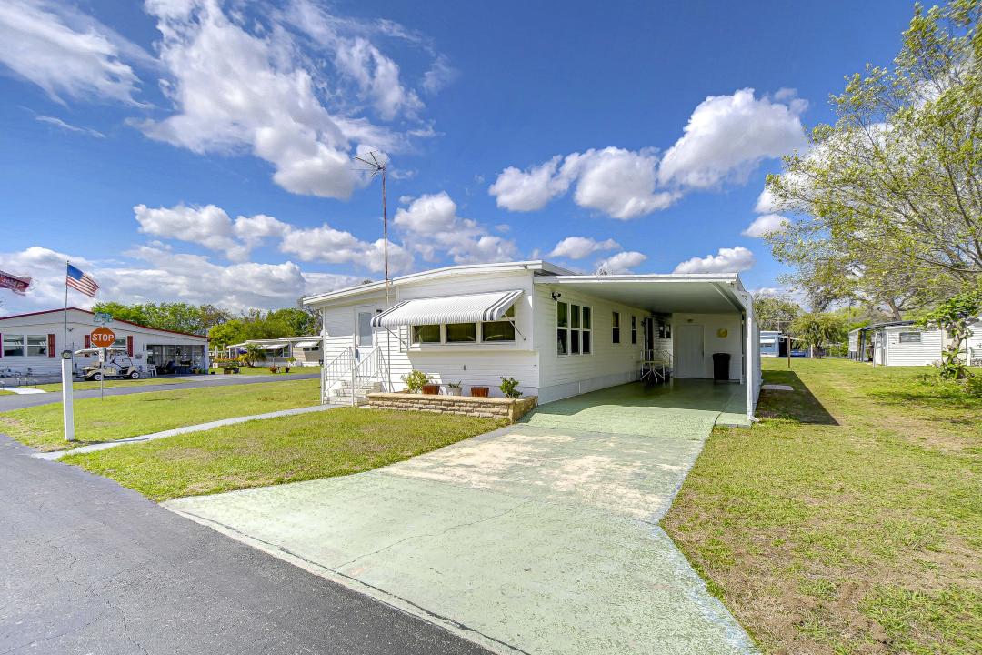 37249 Hammond Drive, Zephyrhills, פלורידה 33541, ארצות הברית של אמריקה