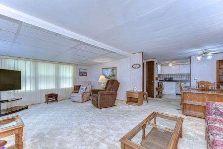 37249 Hammond Drive, Zephyrhills, Florida 33541, USA