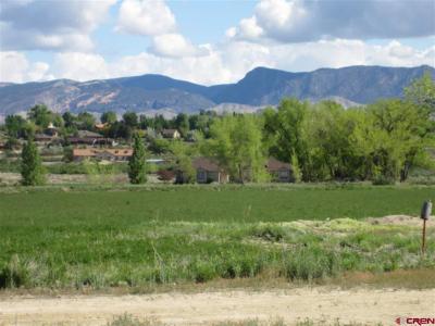 16666 6725 Rd., Montrose, Colorado 81401, USA