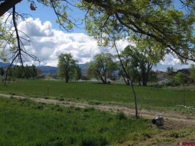 16666 6725 Rd., Montrose, Colorado 81401, Estados Unidos