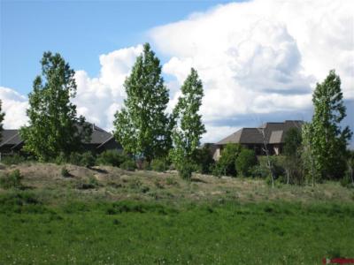 16666 6725 Rd., Montrose, Colorado 81401, Estados Unidos