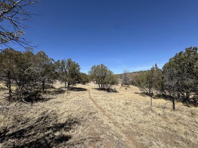 190 Altamira Dr, Alto, New Mexico 88312, HOA KỲ