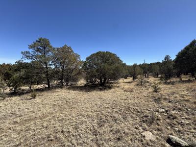 190 Altamira Dr, Alto, Nouveau-Mexique 88312, États-Unis
