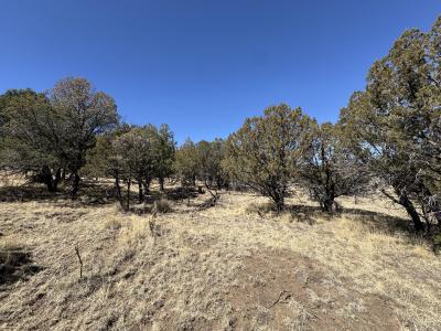 190 Altamira Dr, Alto, Nouveau-Mexique 88312, États-Unis