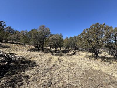 190 Altamira Dr, Alto, Nouveau-Mexique 88312, États-Unis