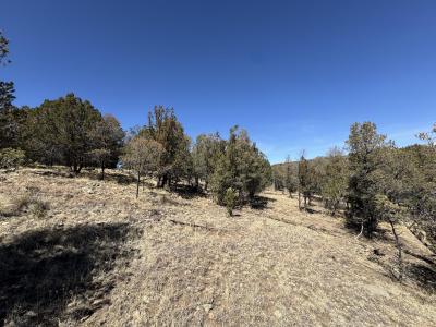190 Altamira Dr, Alto, Nouveau-Mexique 88312, États-Unis