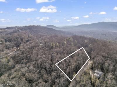99999 Prestwick Drive #28, Hendersonville, Karolina Północna 28792, USA
