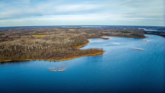 TBD Puposky Rd NW Parcel E, Bemidji, مينيسوتا 56601, الولايات المتحدة
