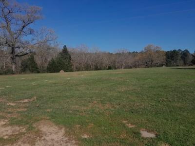 TBD 15.5128 ac CR 373 D, Henderson, Texas 75654
